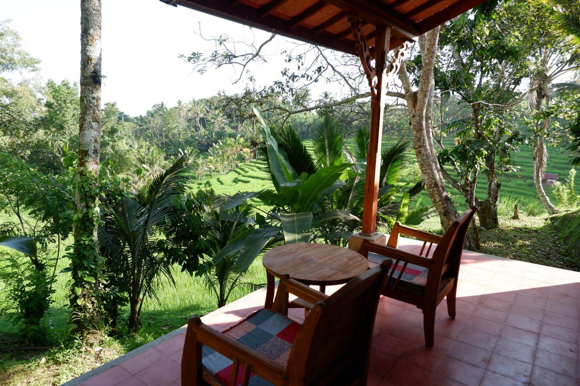 Saridevi Ecolodge Jatiluwih Exteriér fotografie