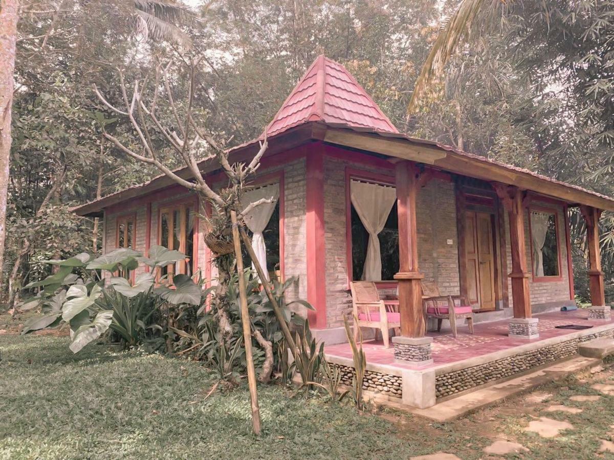 Saridevi Ecolodge Jatiluwih Exteriér fotografie