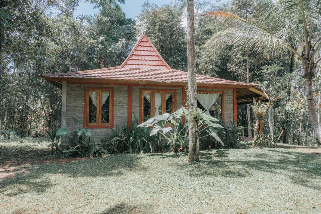 Saridevi Ecolodge Jatiluwih Exteriér fotografie
