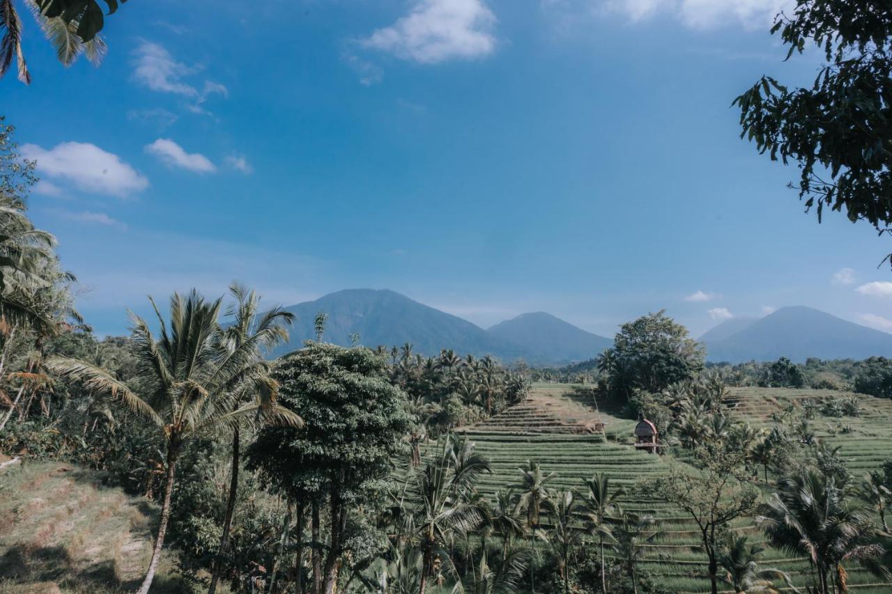 Saridevi Ecolodge Jatiluwih Exteriér fotografie